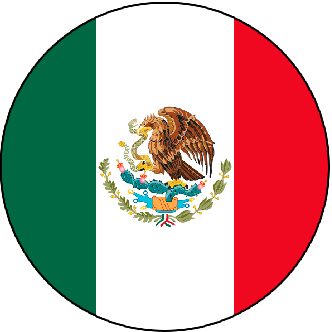 mx_flag